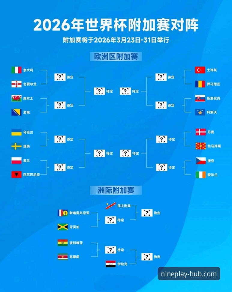 帕尼切利重伤无缘世界杯：一次战术缺失与球迷观赛体验的深度分析
